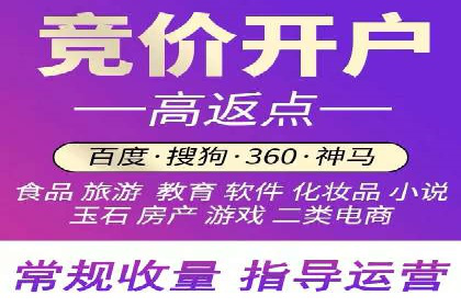 SEM竞价代运营实战技巧与案例